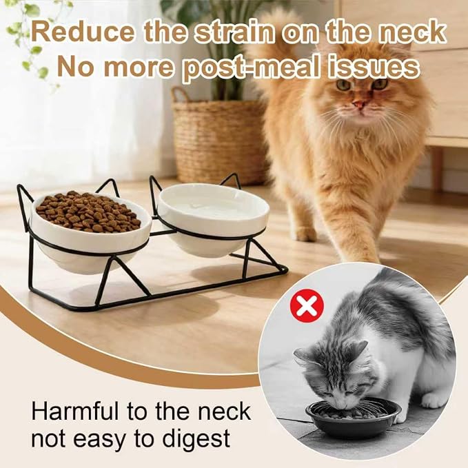 Elevated Tilted Cat Bowls for Indoor Cats，Raised Ceramic Cat Bowl Elevated 15°,Pet Feeding Bowls for Food and Water Anti Vomiting Bowl(Double Ceramics and Tilt Shelf) Suitable